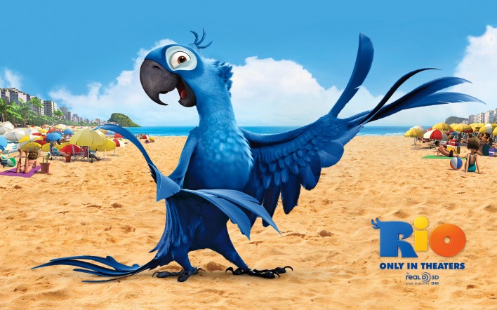 Голубой попугай, Рио