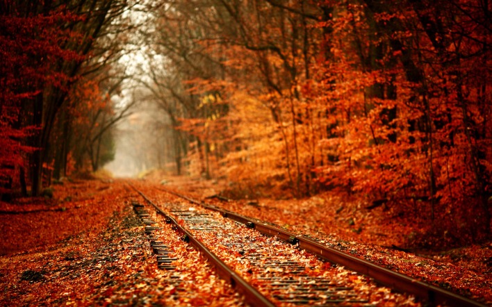Железная дорога в осенних листьях