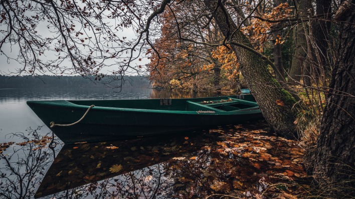 лодка отражение водоем листья