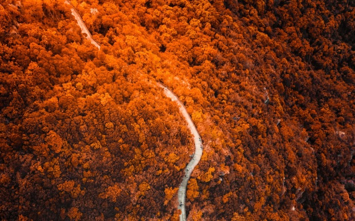 лес осень дорога ландшафт склон