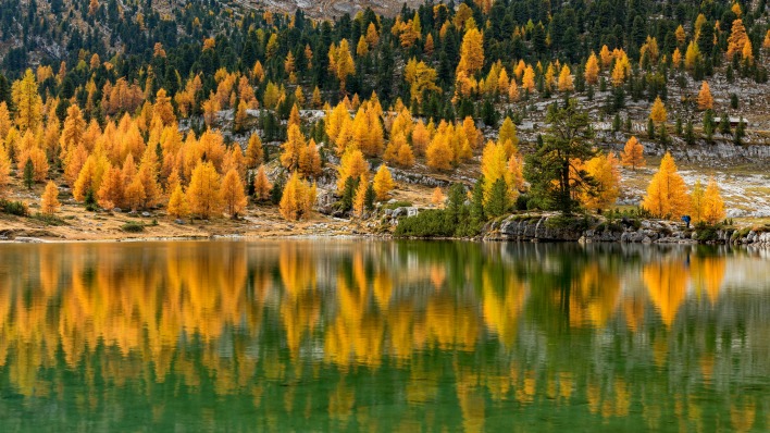 деревья осень озеро отражение в воде