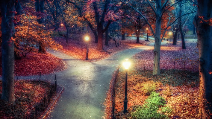 осень парк деревья листва фонари