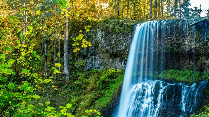 водопад лес природа