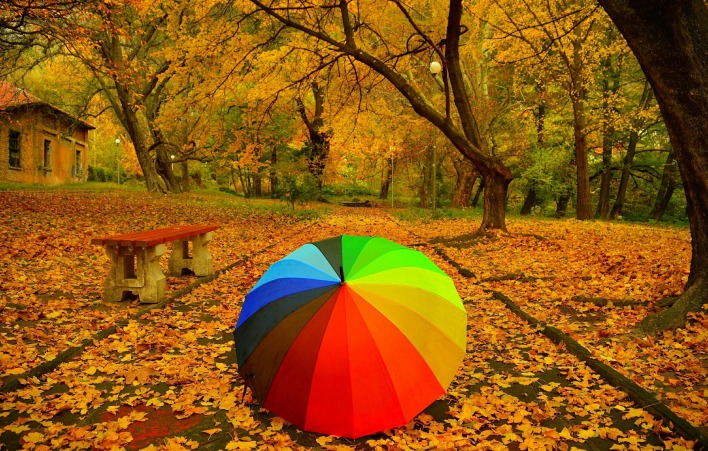 парк зонт радужный листва осень