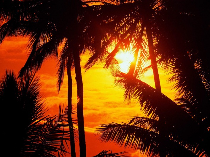 Красивейший закат у пальм