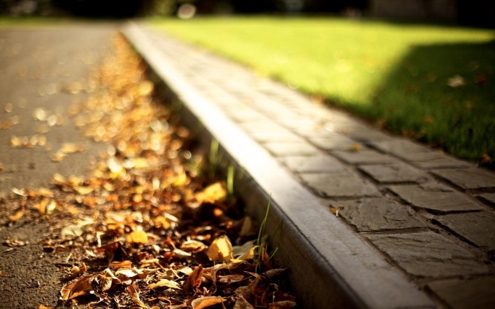 Листья у тротуара