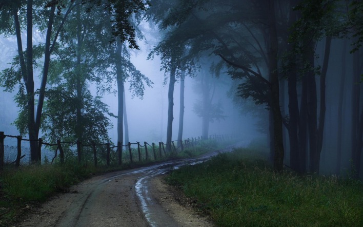 Проселочная дорога в туман