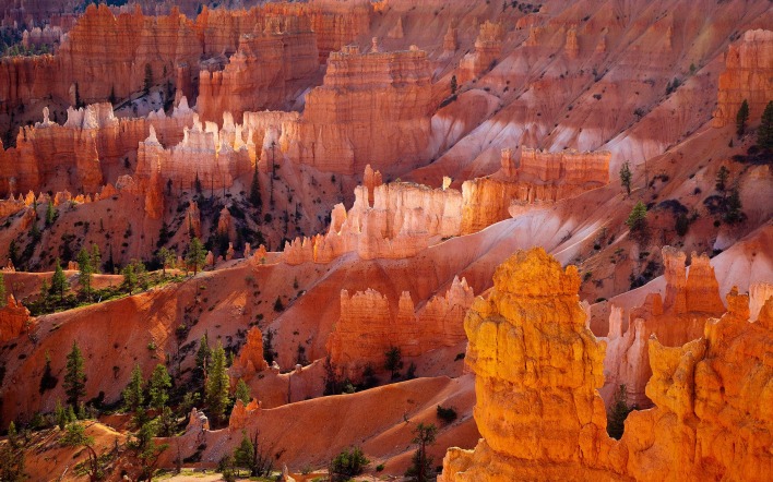Ярко красные скалы в каньоне