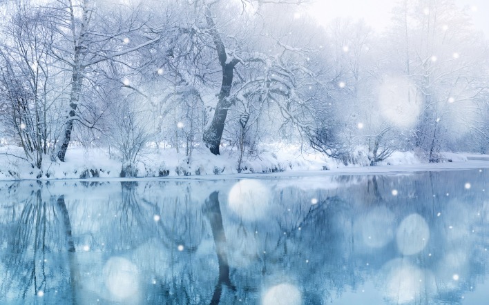 Снег вода зима деревья