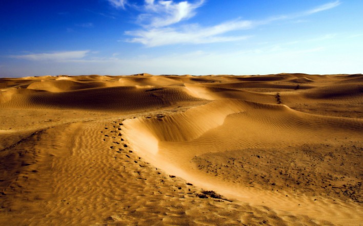 Дюны в пустыне