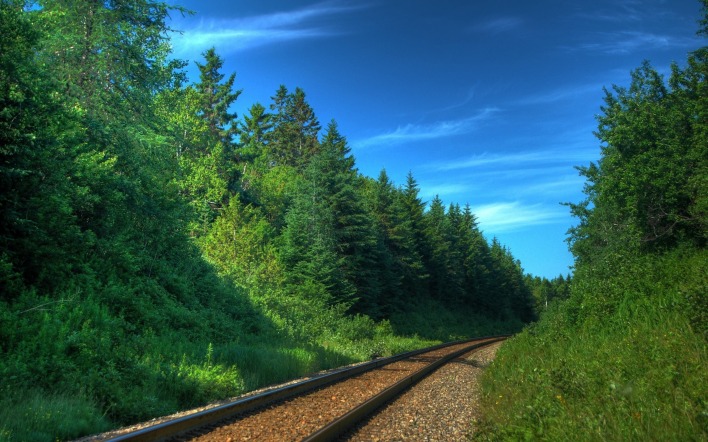 Железная дорога через зеленый лес