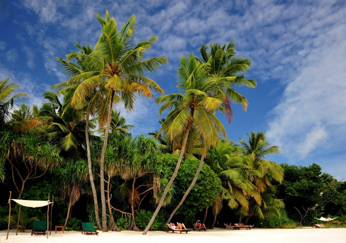 пальмы на песочном пляже