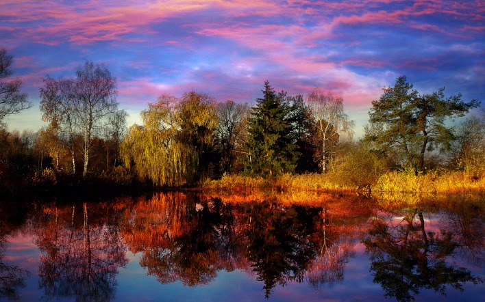 розовый закат над озером и деревьями