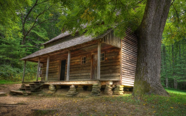домик из дерева в лесу