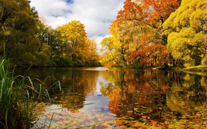 Обои Осеннее озеро в лесу, скачать обои, фото и картинки бесплатно