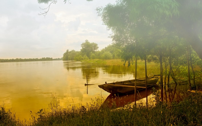 лодка озеро природа деревья трава