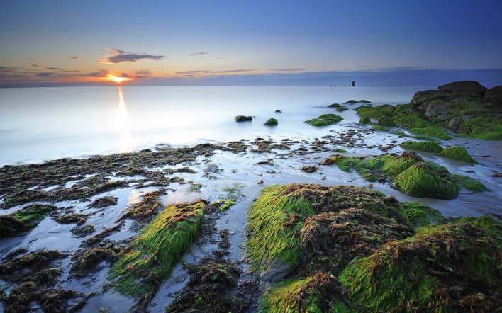 природа море побережье камни мох солнце небо Mac