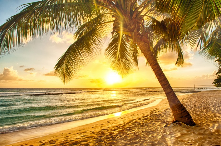 Пальма пляж закат
