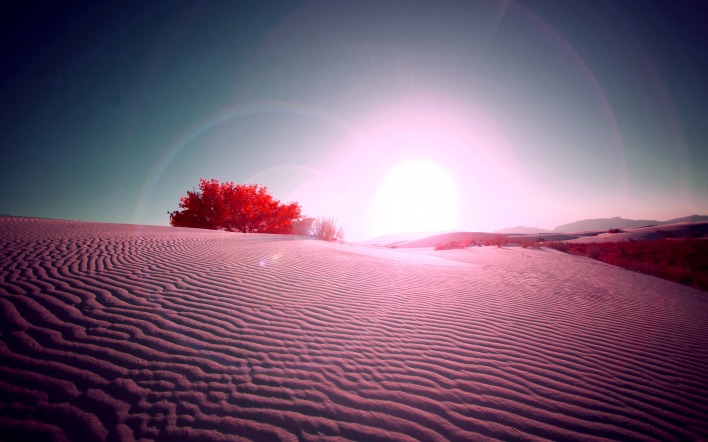 Песок пустыня дюны закат розовый