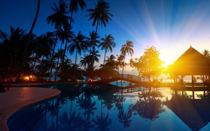 природа бассейн рассвет солнце пальмы отдых