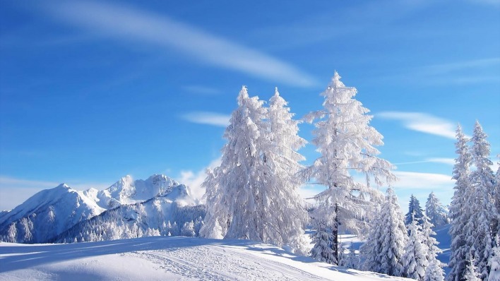 природа зима деревья ели горы