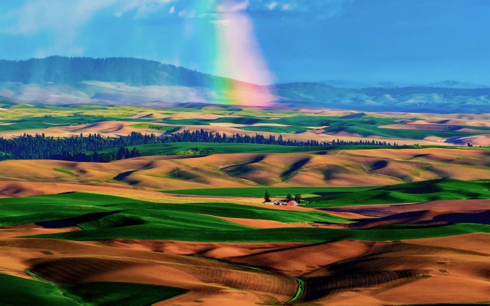 природа поле пейзаж радуга