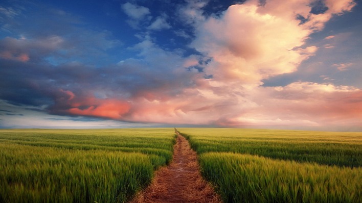 дорога поле закат облака небо