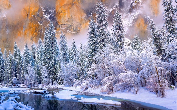 Зима ель деревья природа