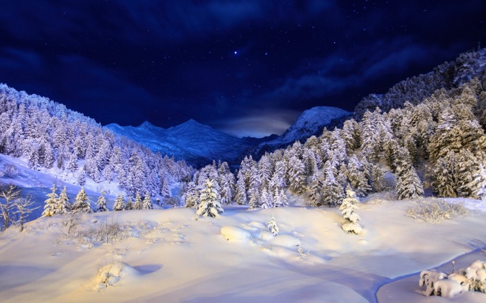 природа снег зима горы деревья ели