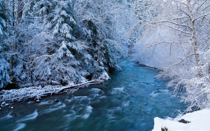 природа зима деревья река снег
