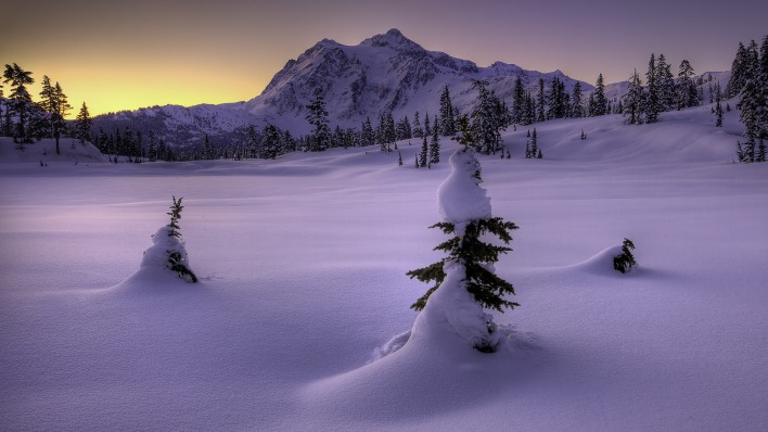природа снег зима деревья горы