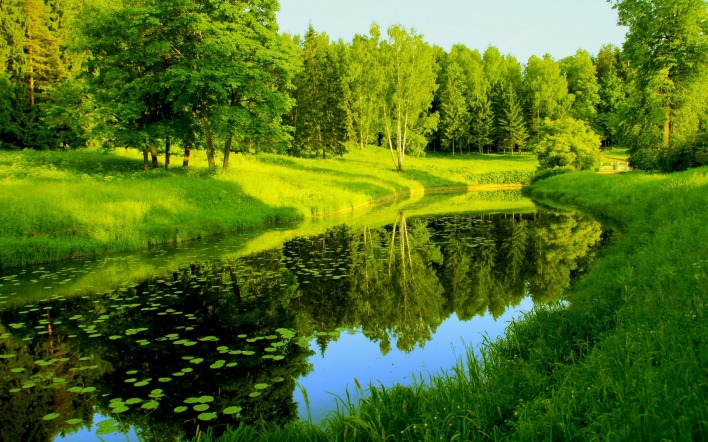 природа река деревья трава