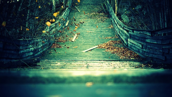 природа осень мост листья