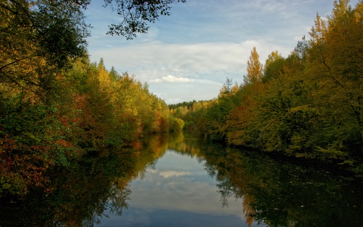 природа река деревья