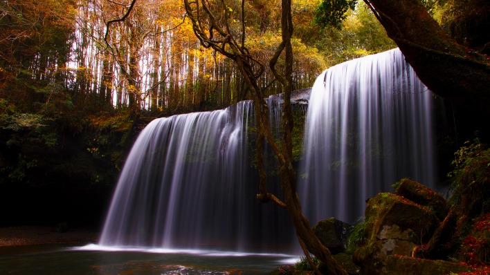 природа водопад река деревья лес вода