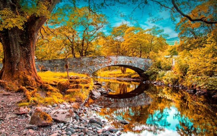 природа мост осень деревья листья река nature the bridge autumn trees leaves river