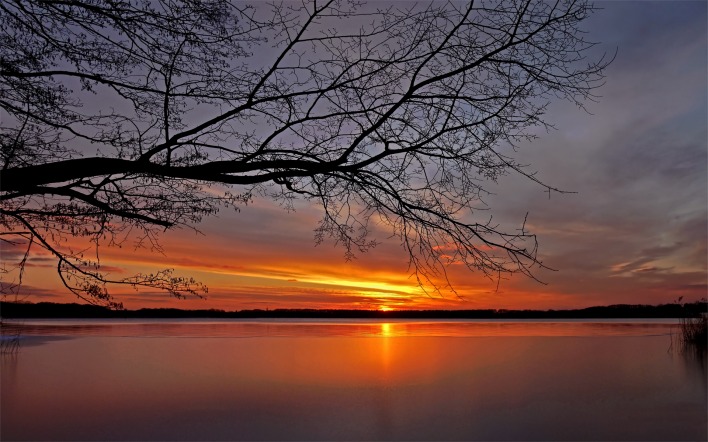 природа деревья озеро солнце закат nature trees the lake sun sunset