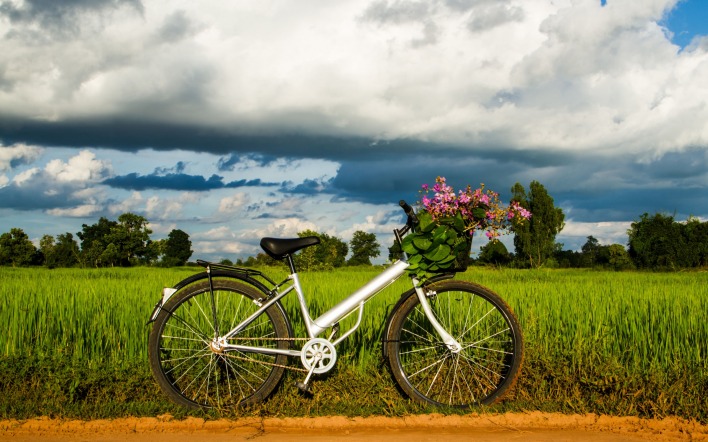 природа велосипед травав nature bike travel