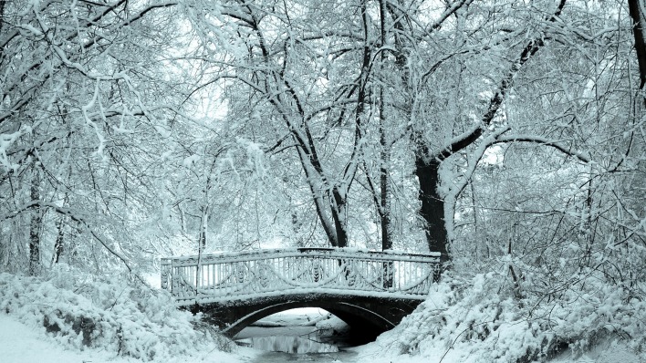зима мост речка снег winter the bridge river snow