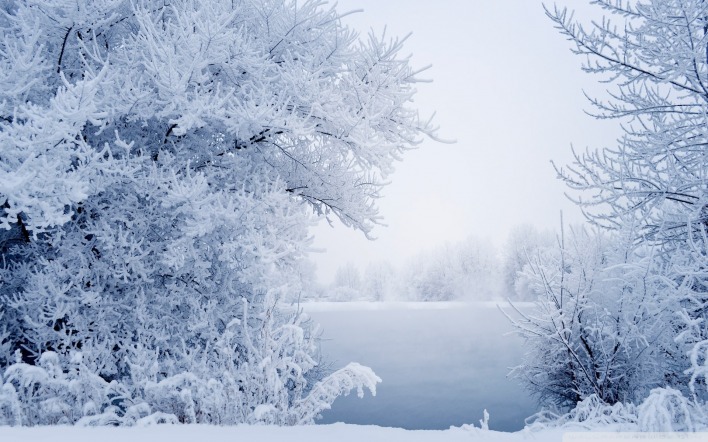 зима иней снег деревья winter frost snow trees