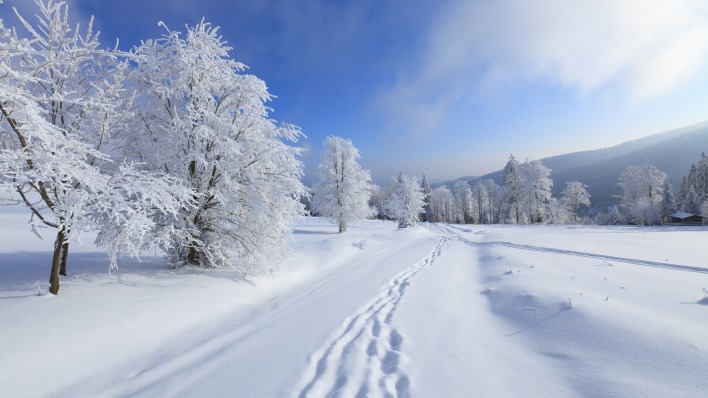 снег следы зима дорога snow traces winter road