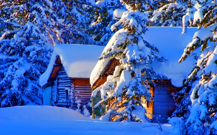 снег ели домики snow ate houses