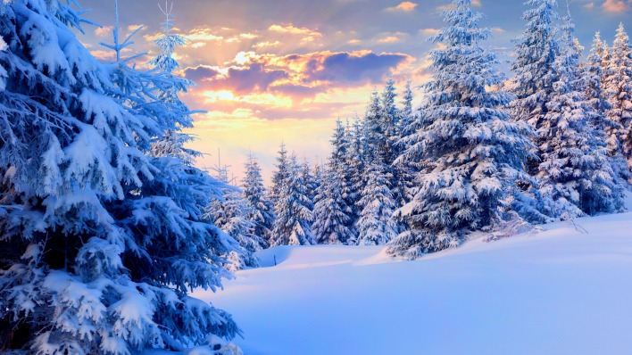 снег зима закат snow winter sunset