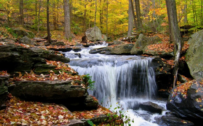 природа водопад осень листья деревья