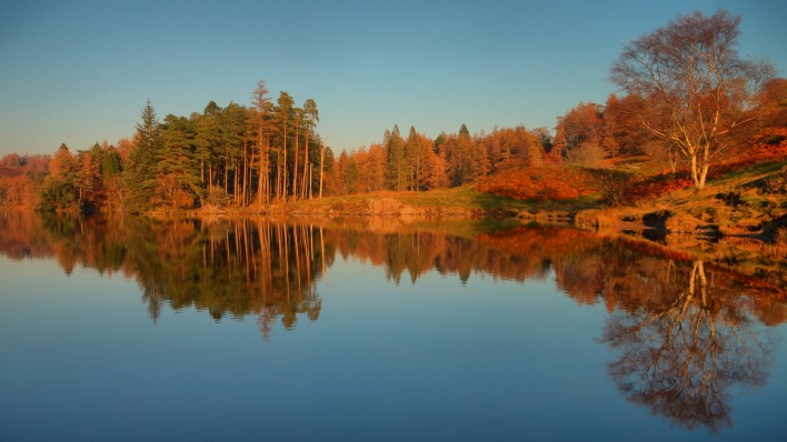 природа река отражение деревья осень