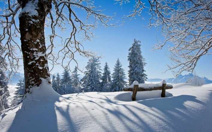 снег лавочка зима дерево snow shop winter tree
