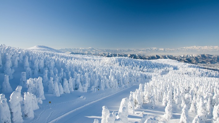 зима лес высота winter forest height