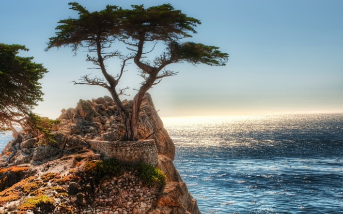 природа деревья море скалы