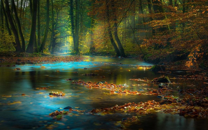 природа река деревья лес
