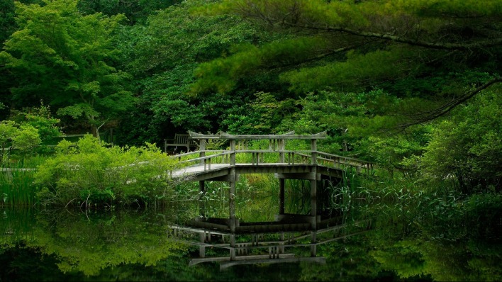 мостик озерцо зелень лето
